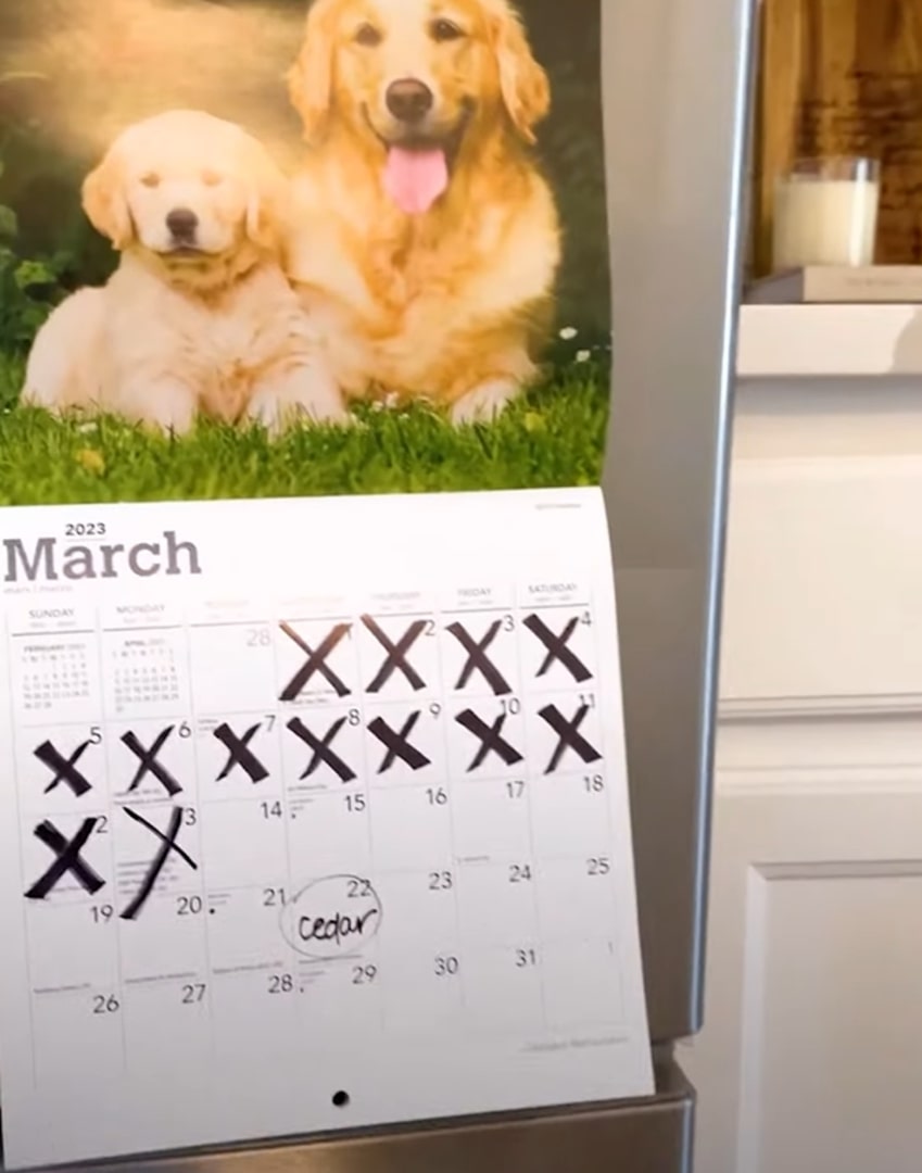 calendar with dogs