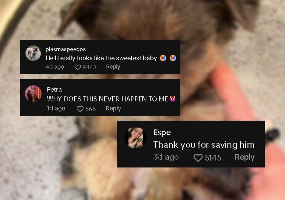 comments on tiktok