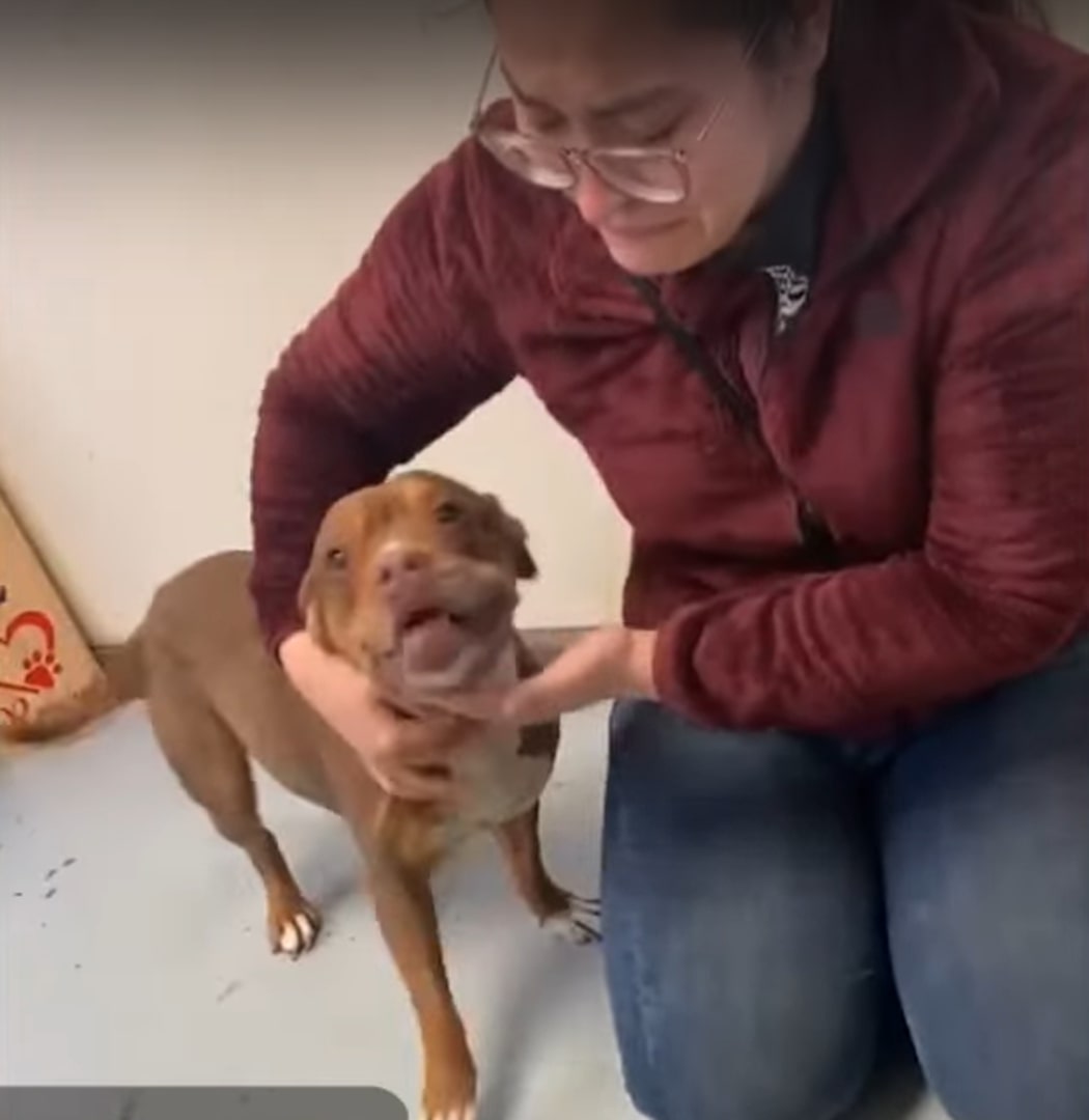 crying woman holding her dog