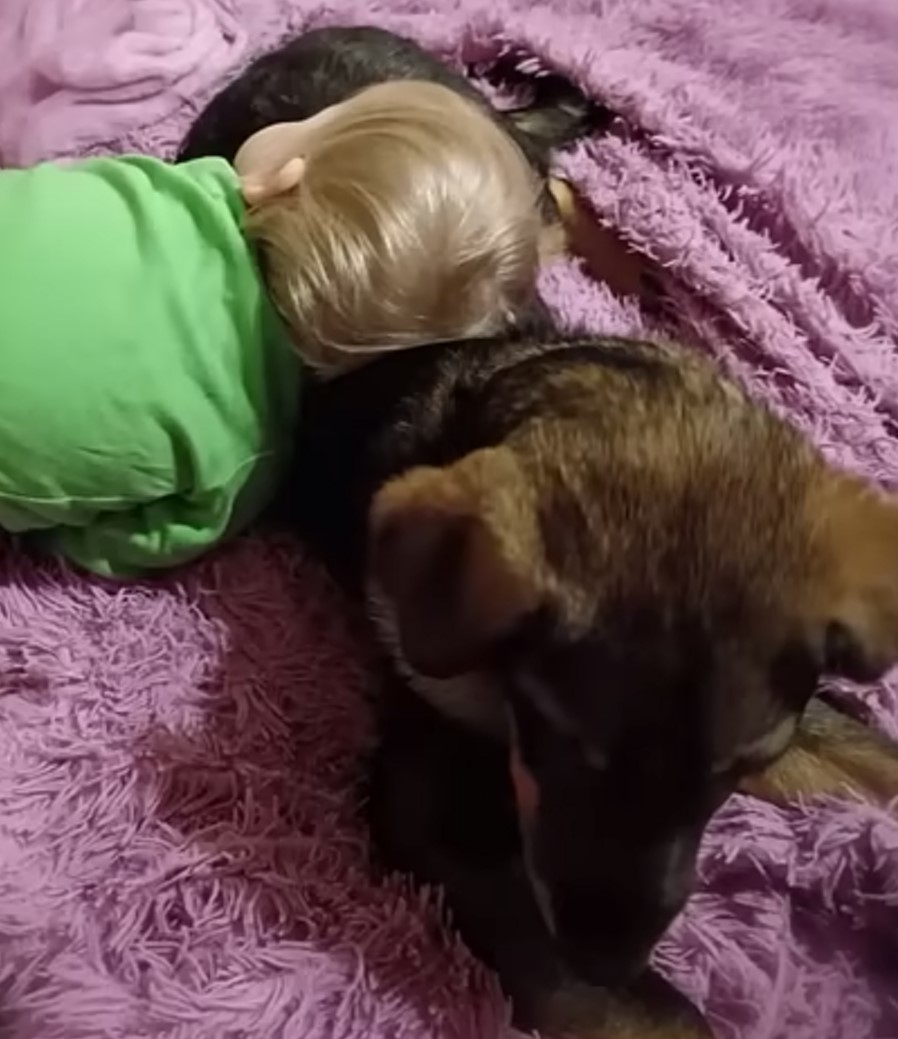 cute kid and dog