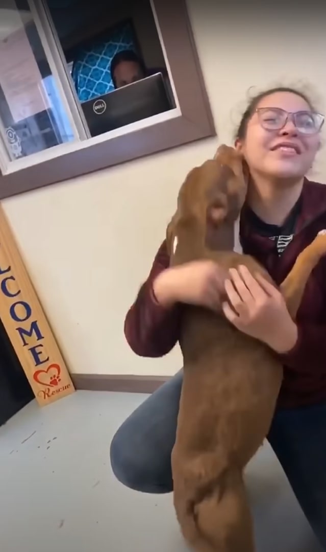 dog licking woman