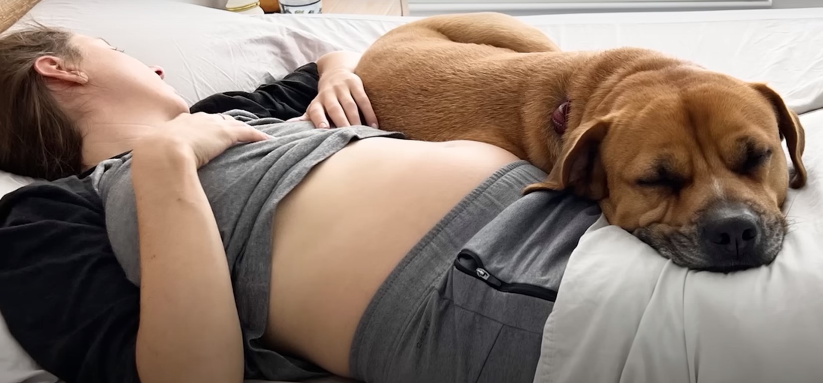 dog lying next to a woman