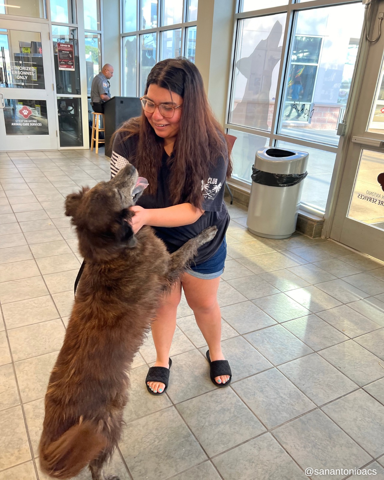 happy dog jumping on owner