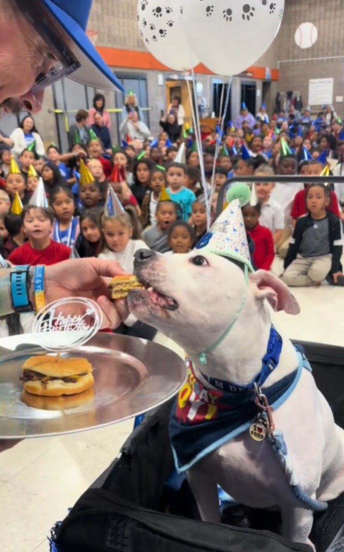 magician man givin food to dog on a show in school