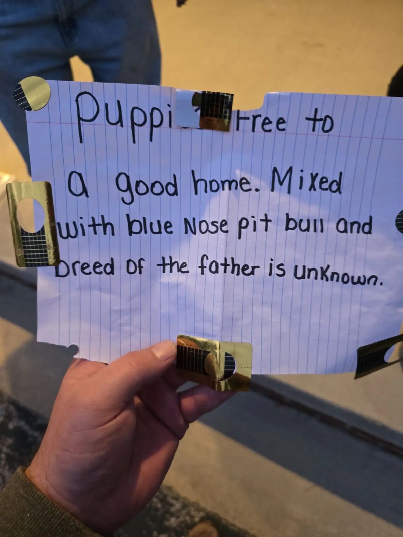 man holding note for puppies