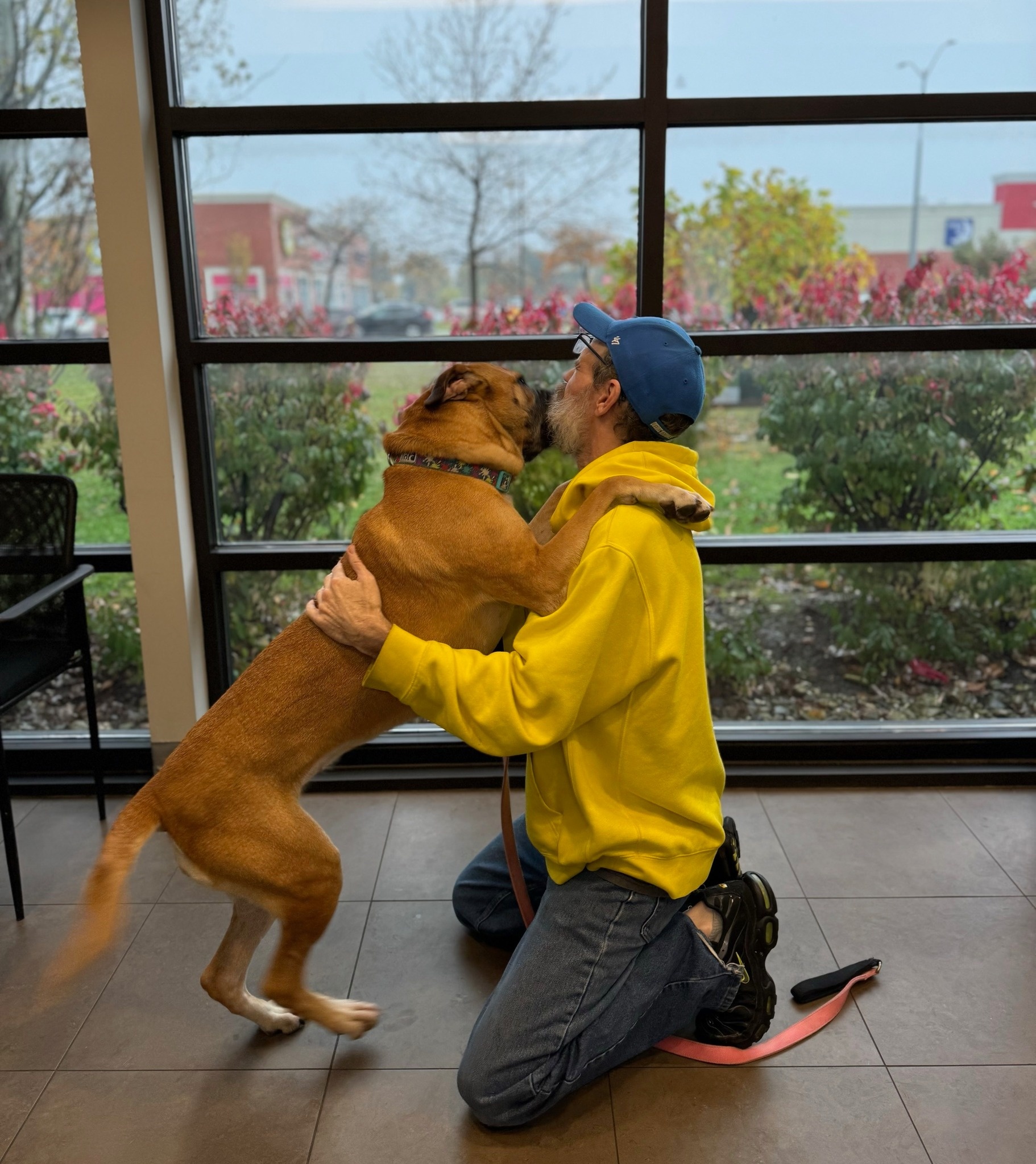 man kissing his dog