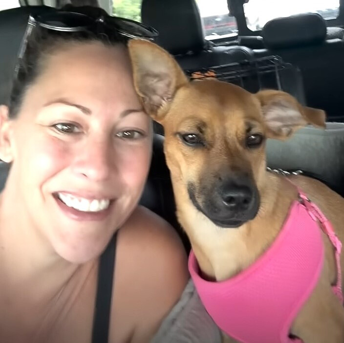 smiling woman with dog in the car