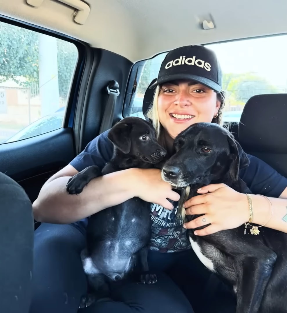 two cute puppies in a girl's arms