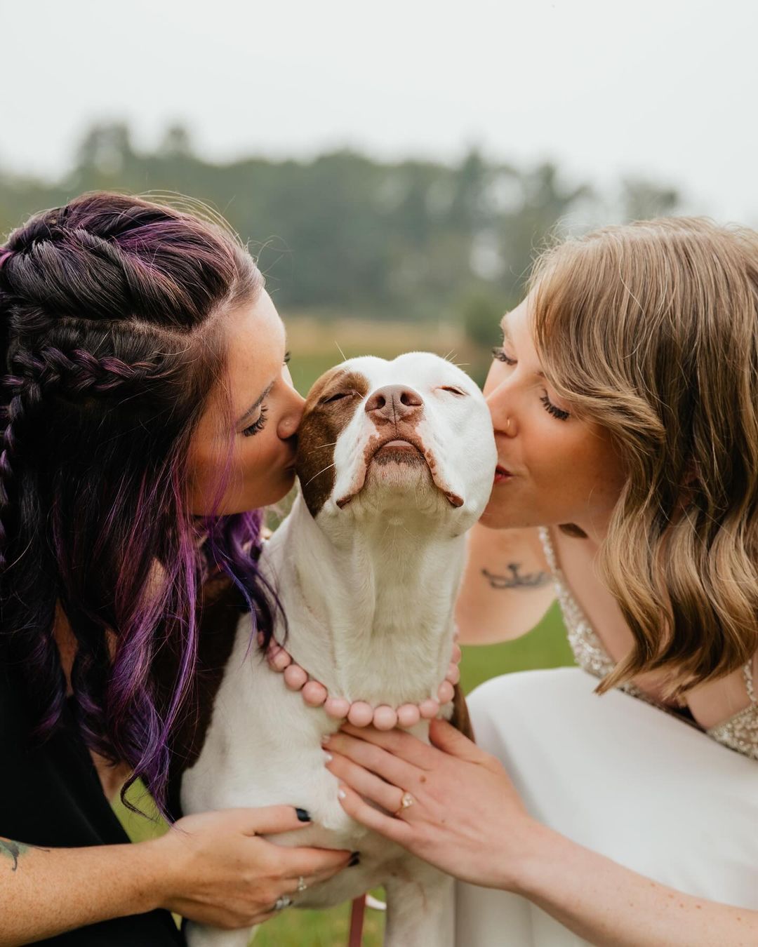 two women kissing the pitbull