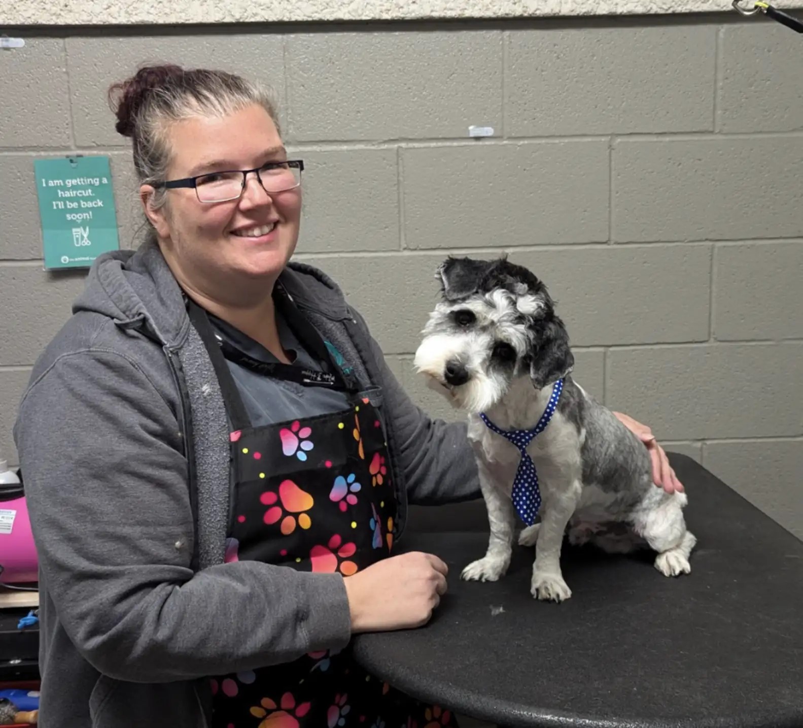 woman and a dog after a haircut