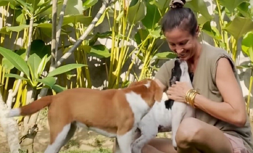 woman and two dogs