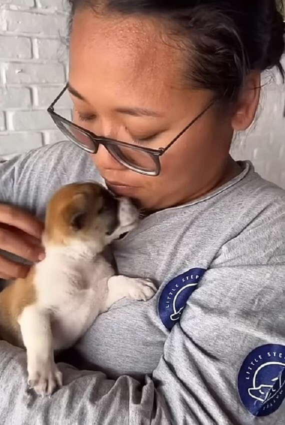 woman holding a tiny puppy