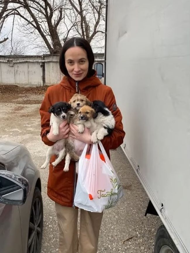 woman holding four puppies