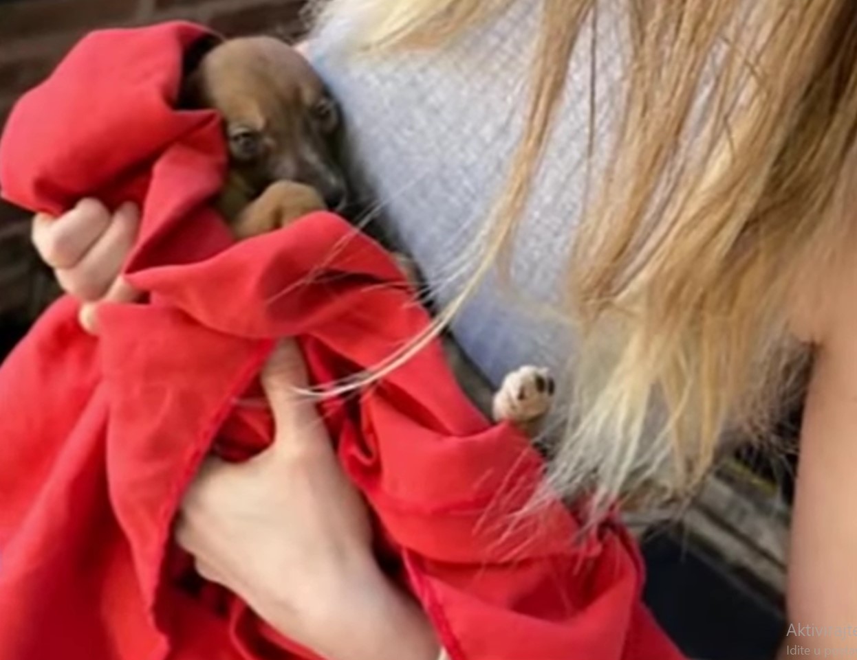 woman holding puppy wrapped in red blanket