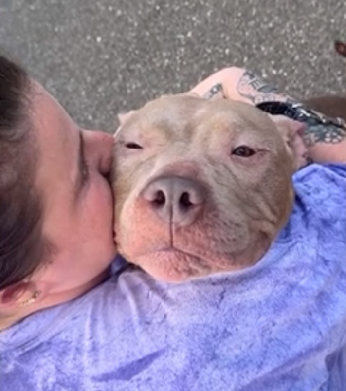 woman hugging and kissing the dog