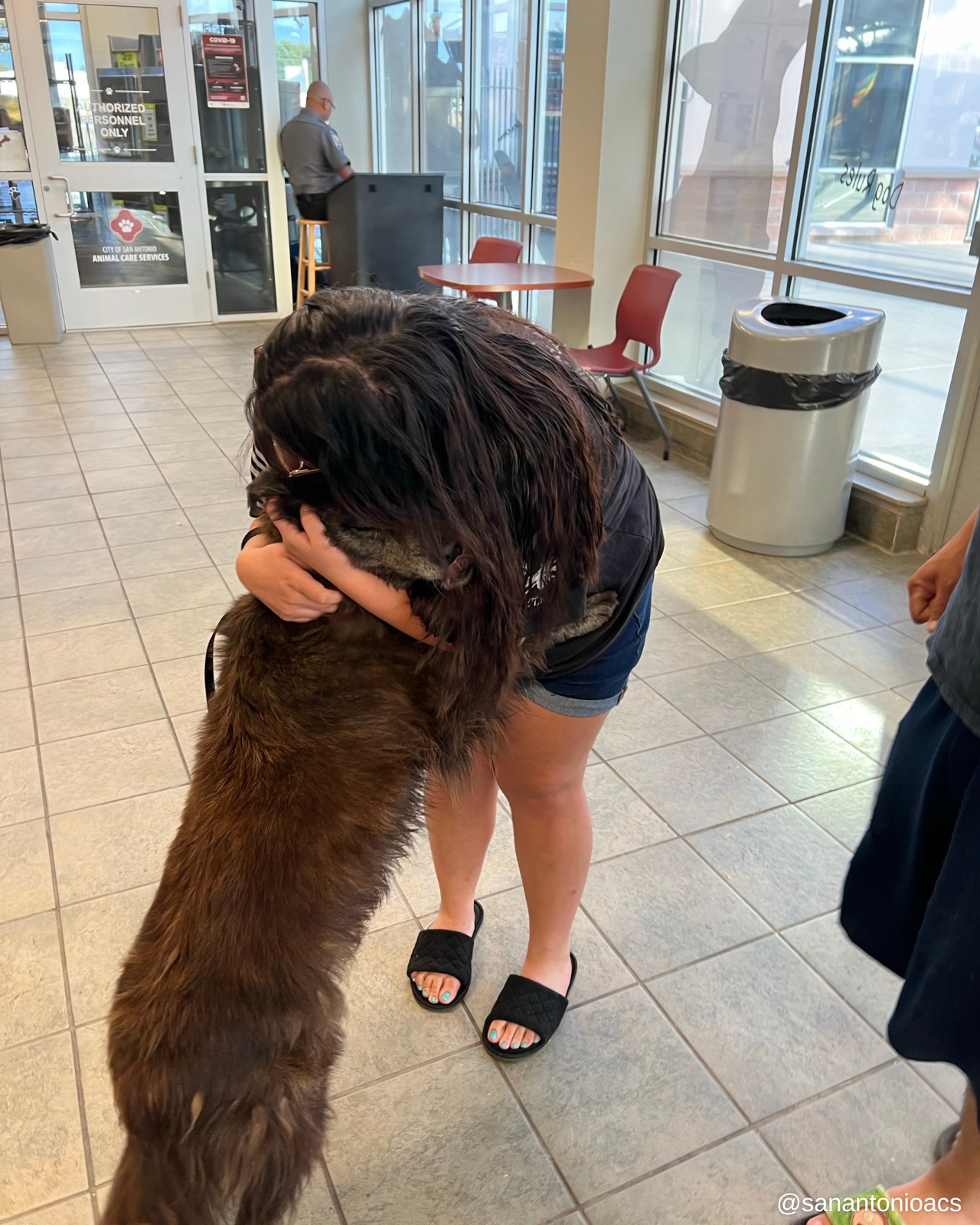 woman hugging the dog