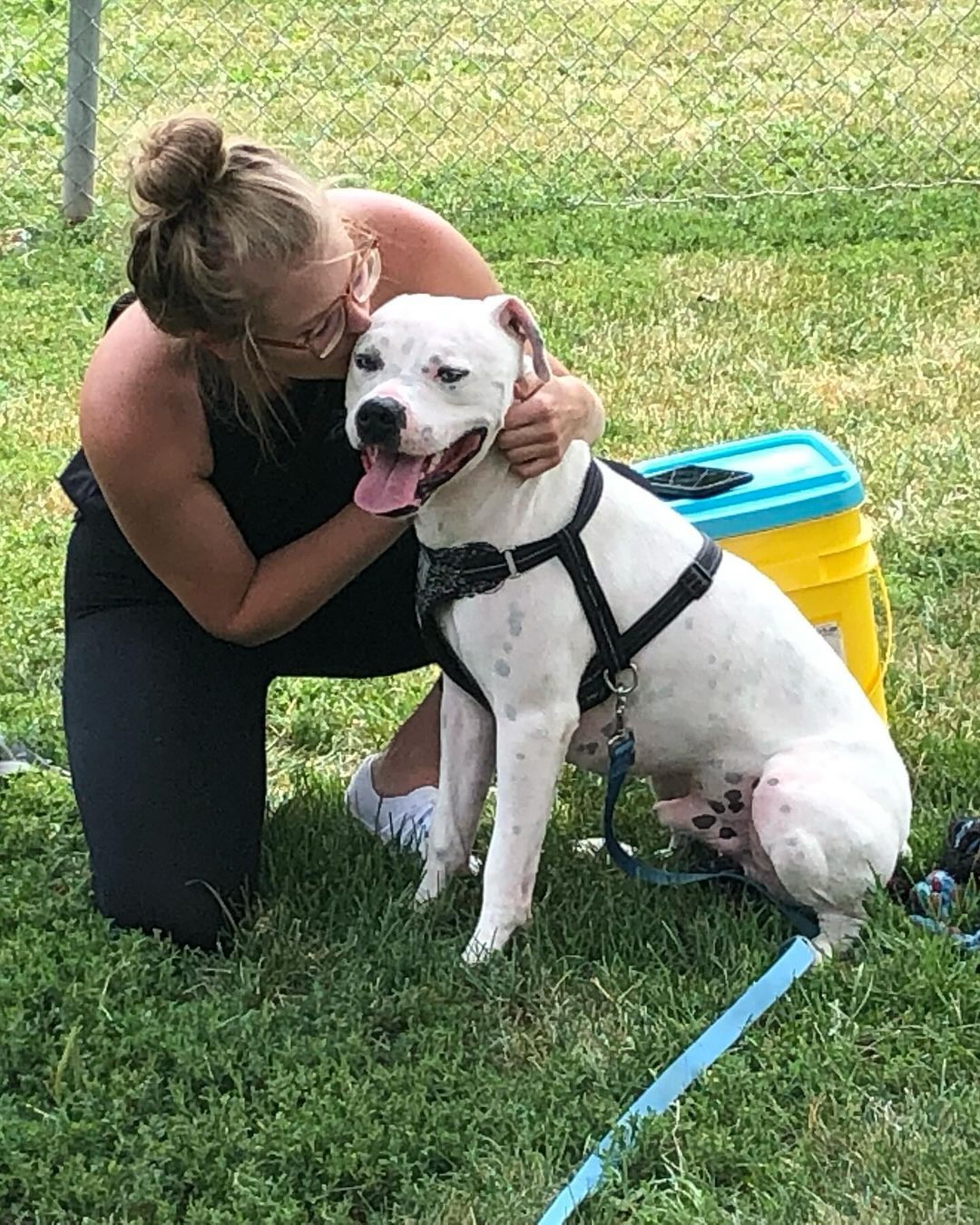 woman kissing dog in head