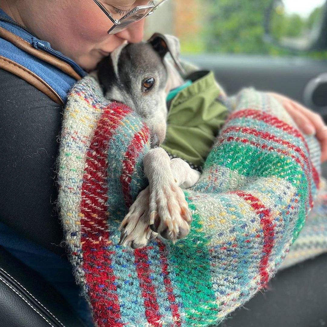 woman kissing dog wrapped into the blanket