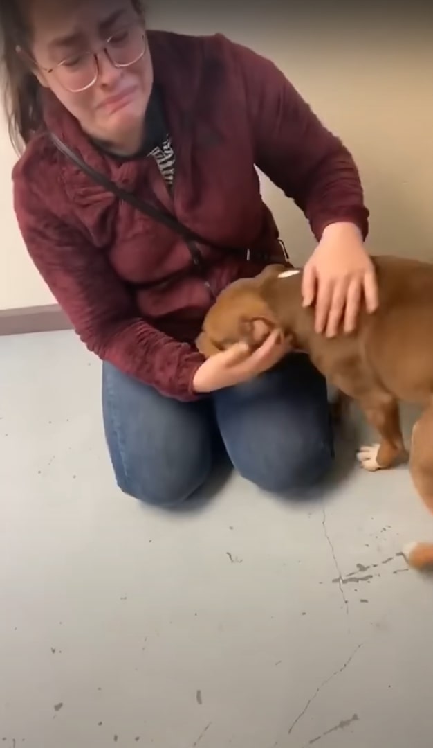 woman petting her dog