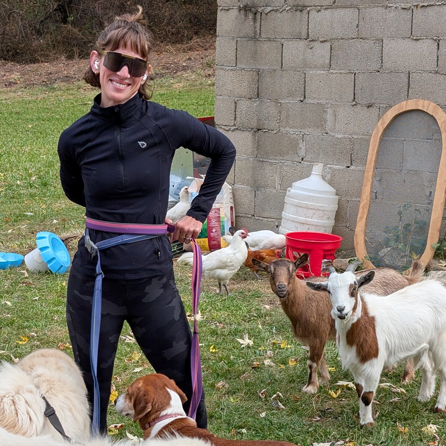 woman surrounded with dogs and goats