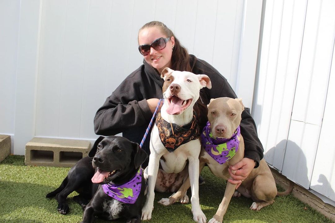 woman with three dogs