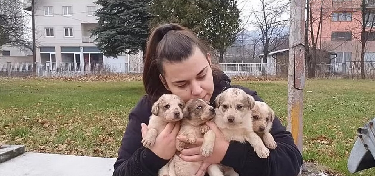 young woman and puppies