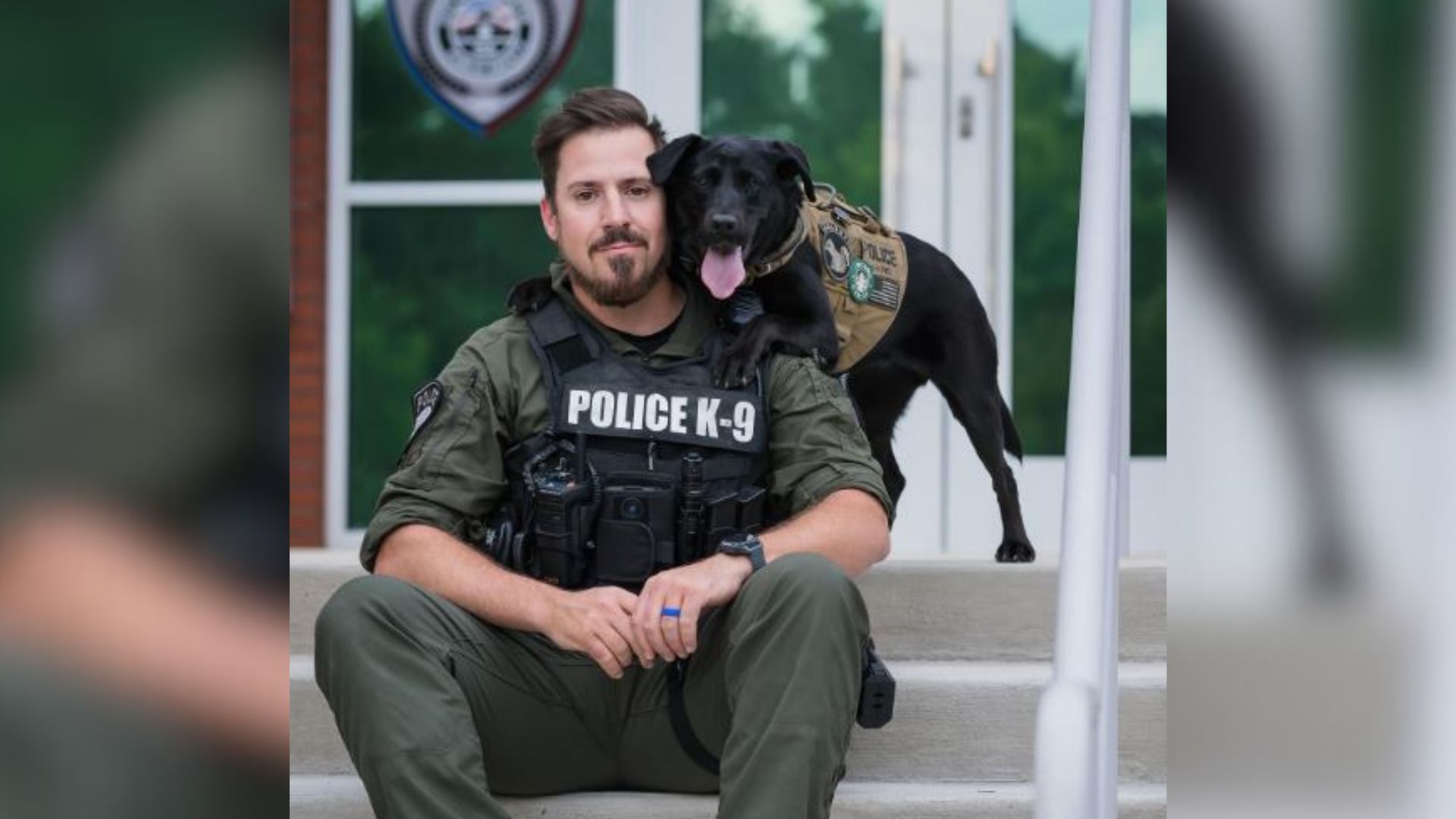 Georgia K9 Melts Hearts As She Helps People And Looks Adorable At The Same Time