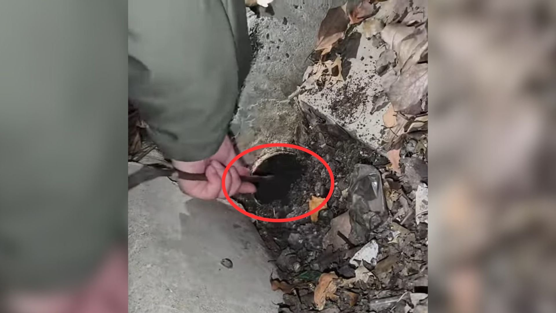 newborn puppy stuck in a pipe