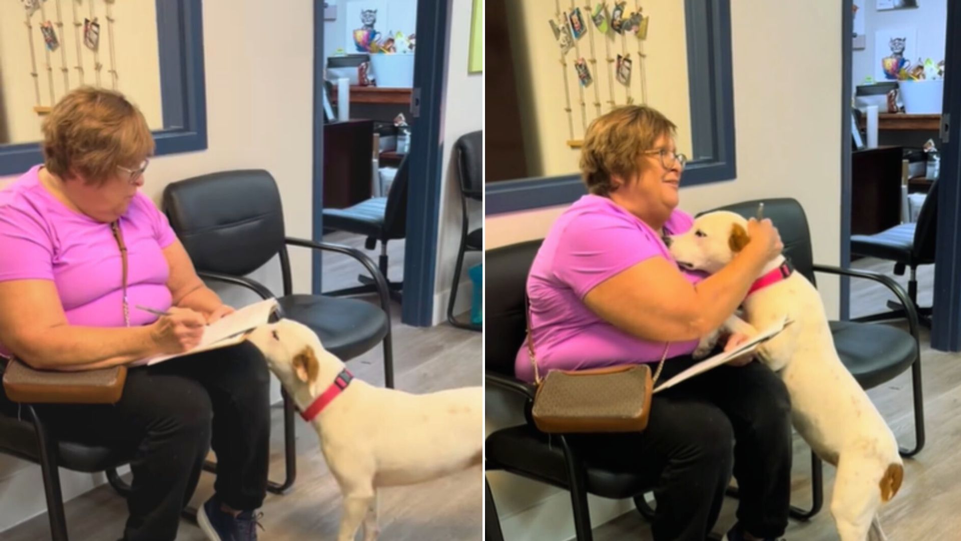 Shelter Dog Realizes She's Being Adopted By Her New Mom