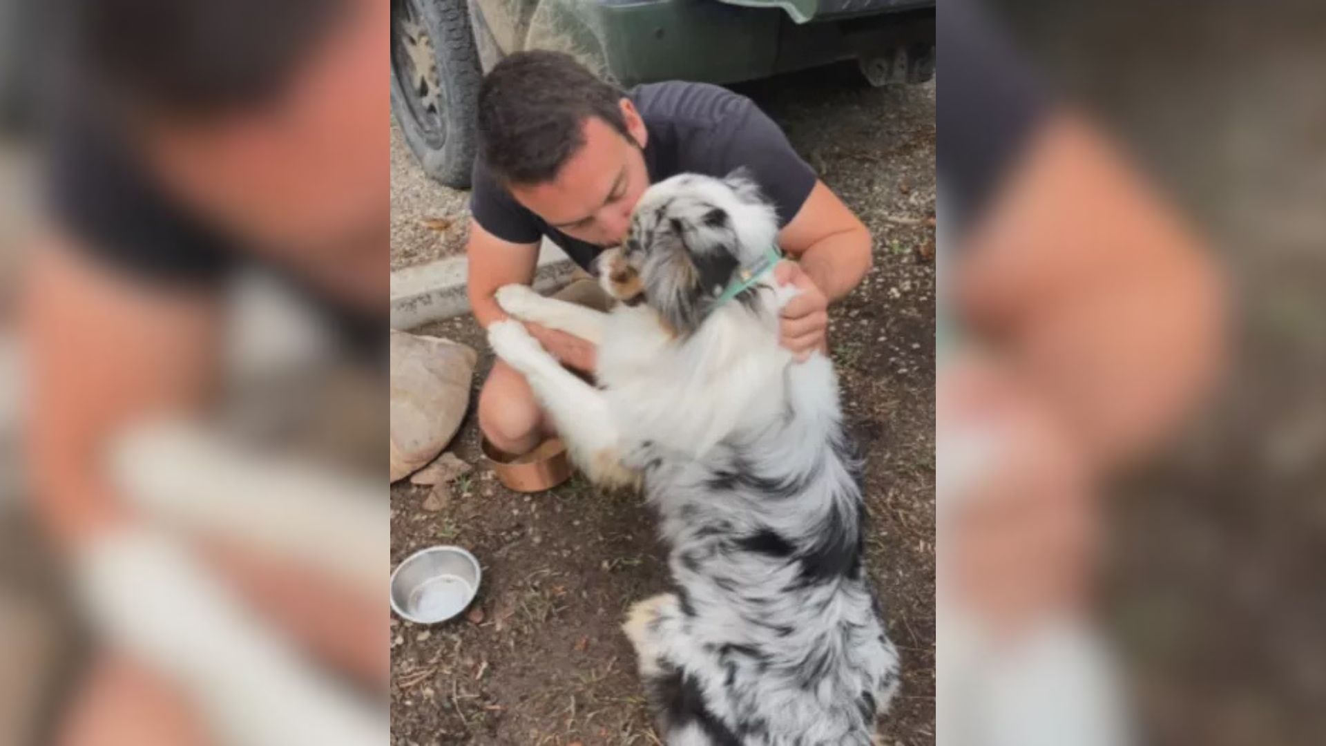 kind man with dog