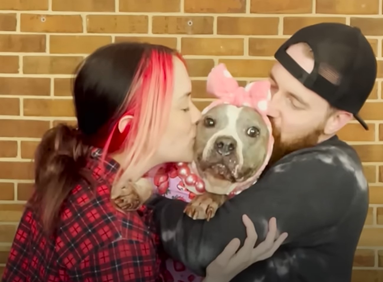 couple kissing dog