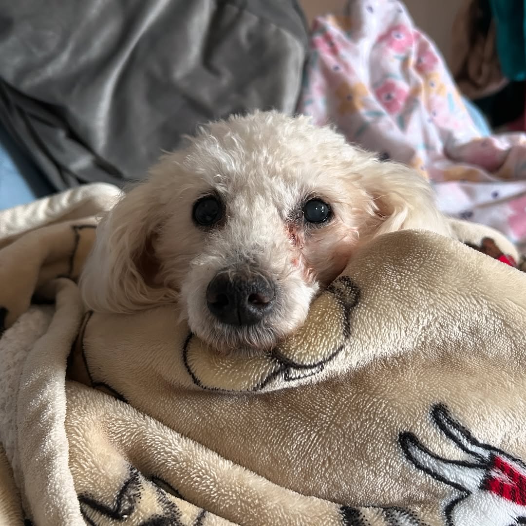 cute photo in blanket