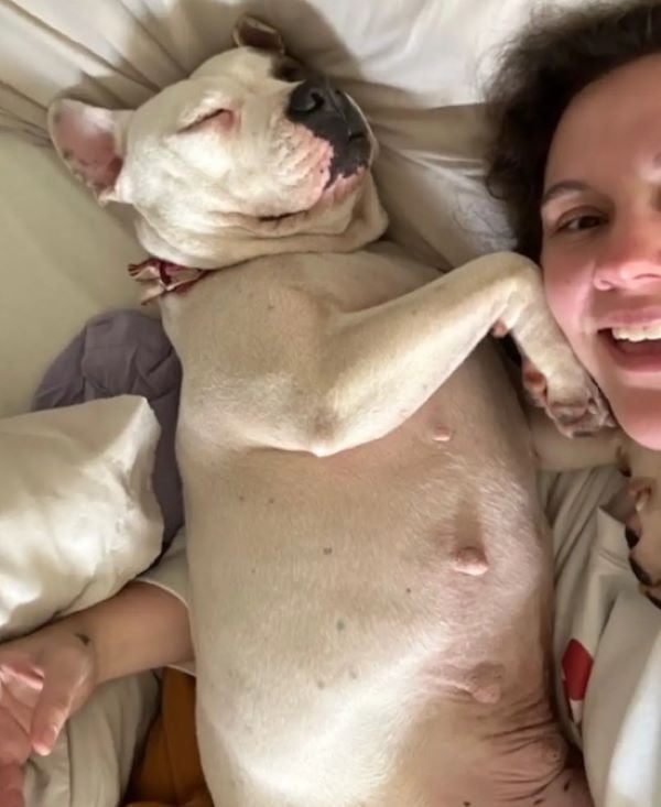 dog in bed with woman