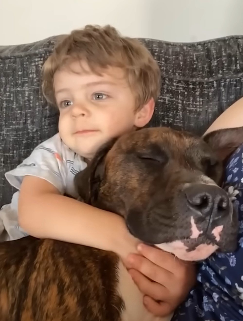 kid and sweet dog