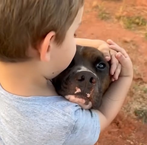 kid hugging a dog