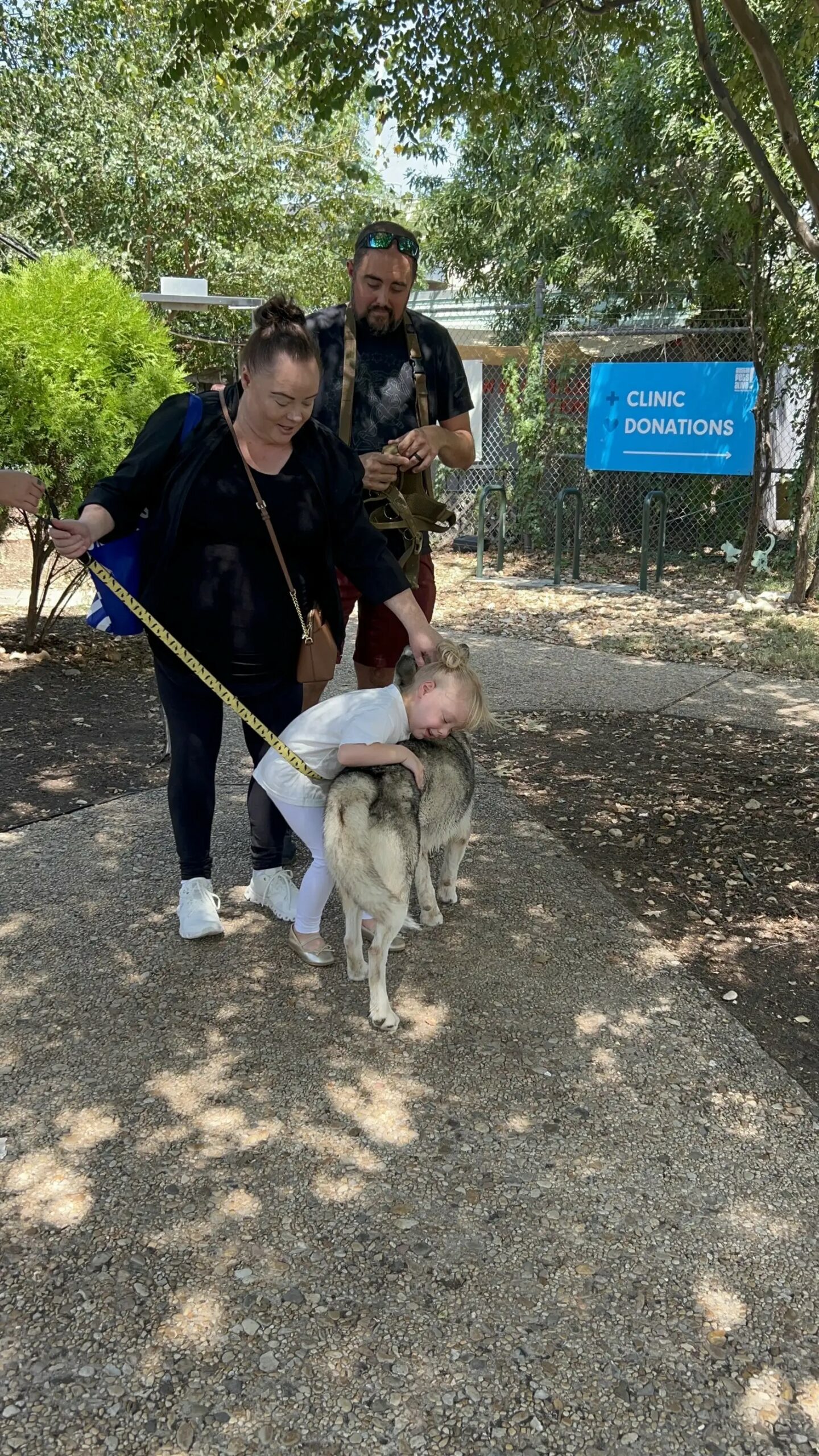 little girl hugging husky with her parents outdoor