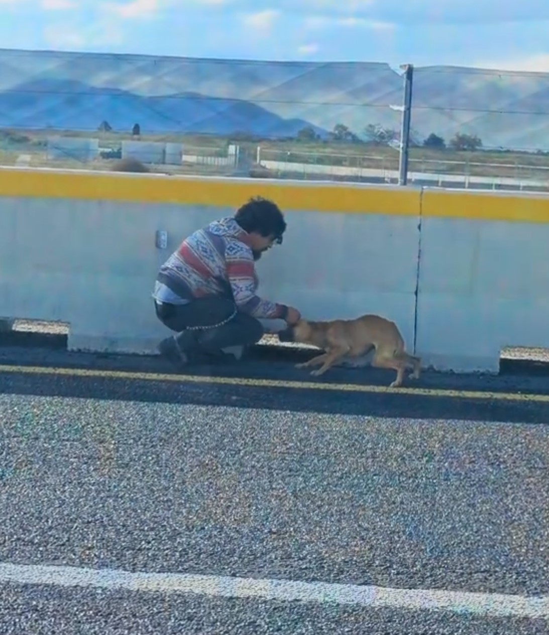 man helping the dog