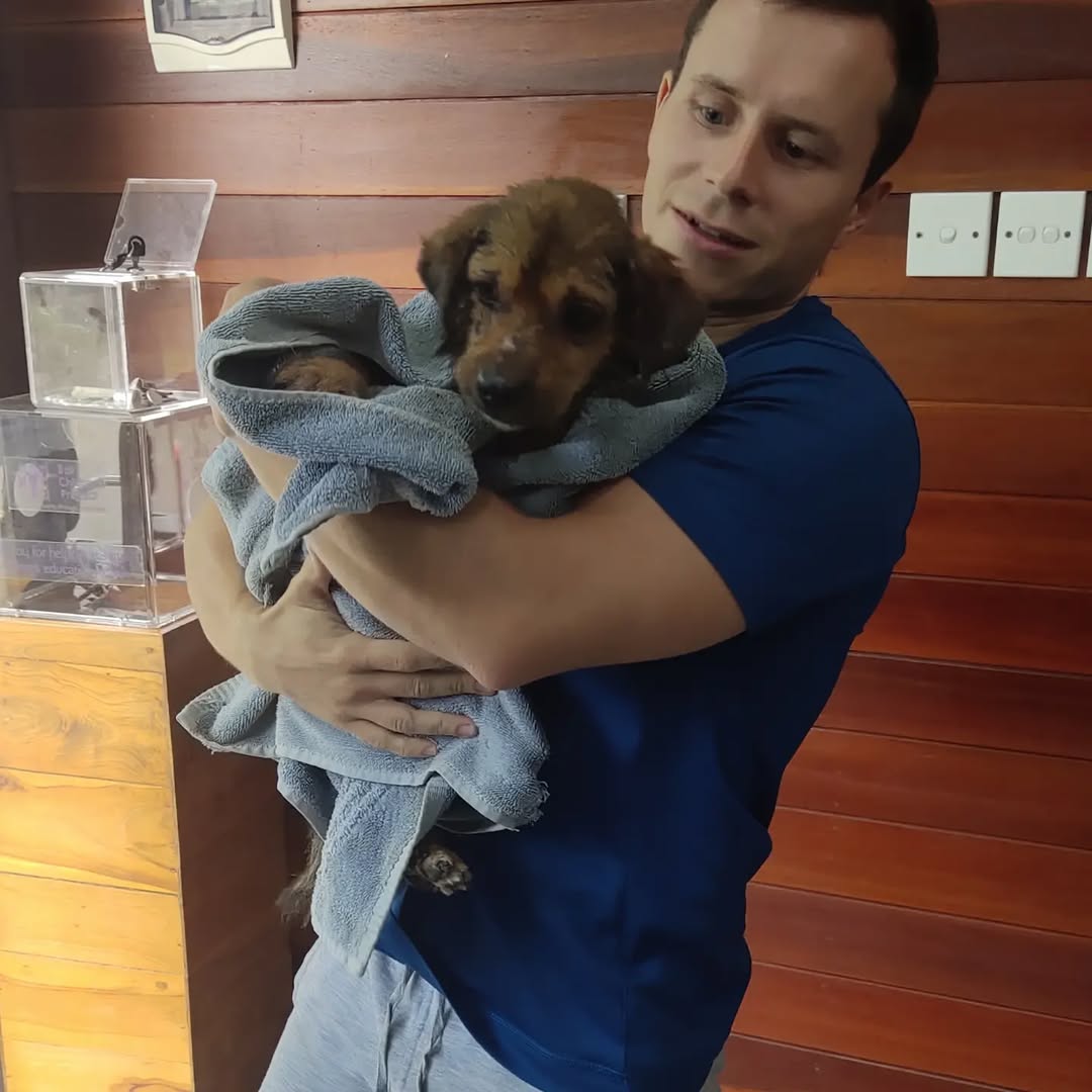 man holding dog in a blanket