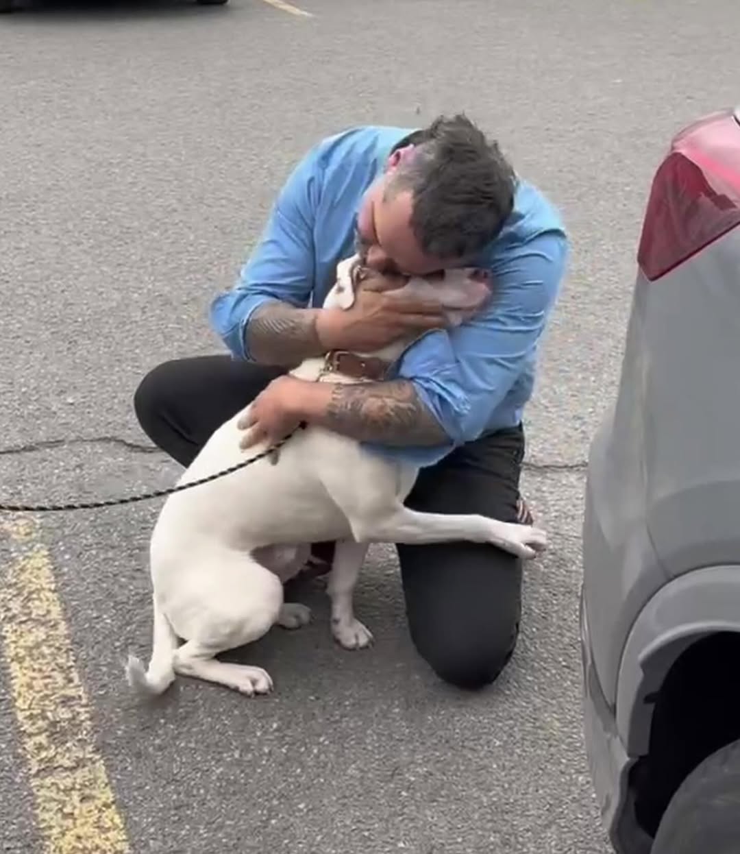 man hugging a dog