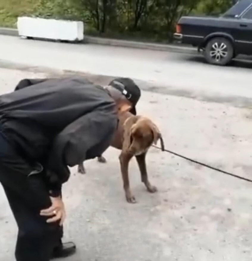 man with dog outdoor