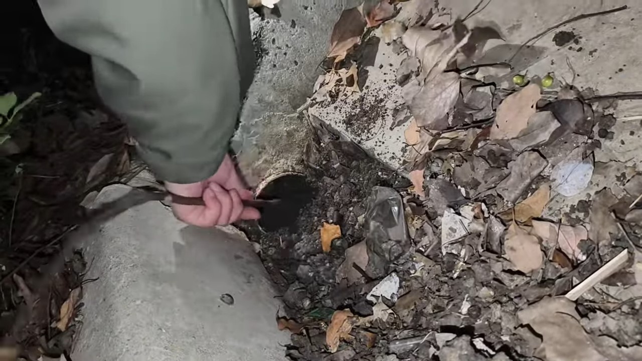 newborn puppy stuck in a pipe