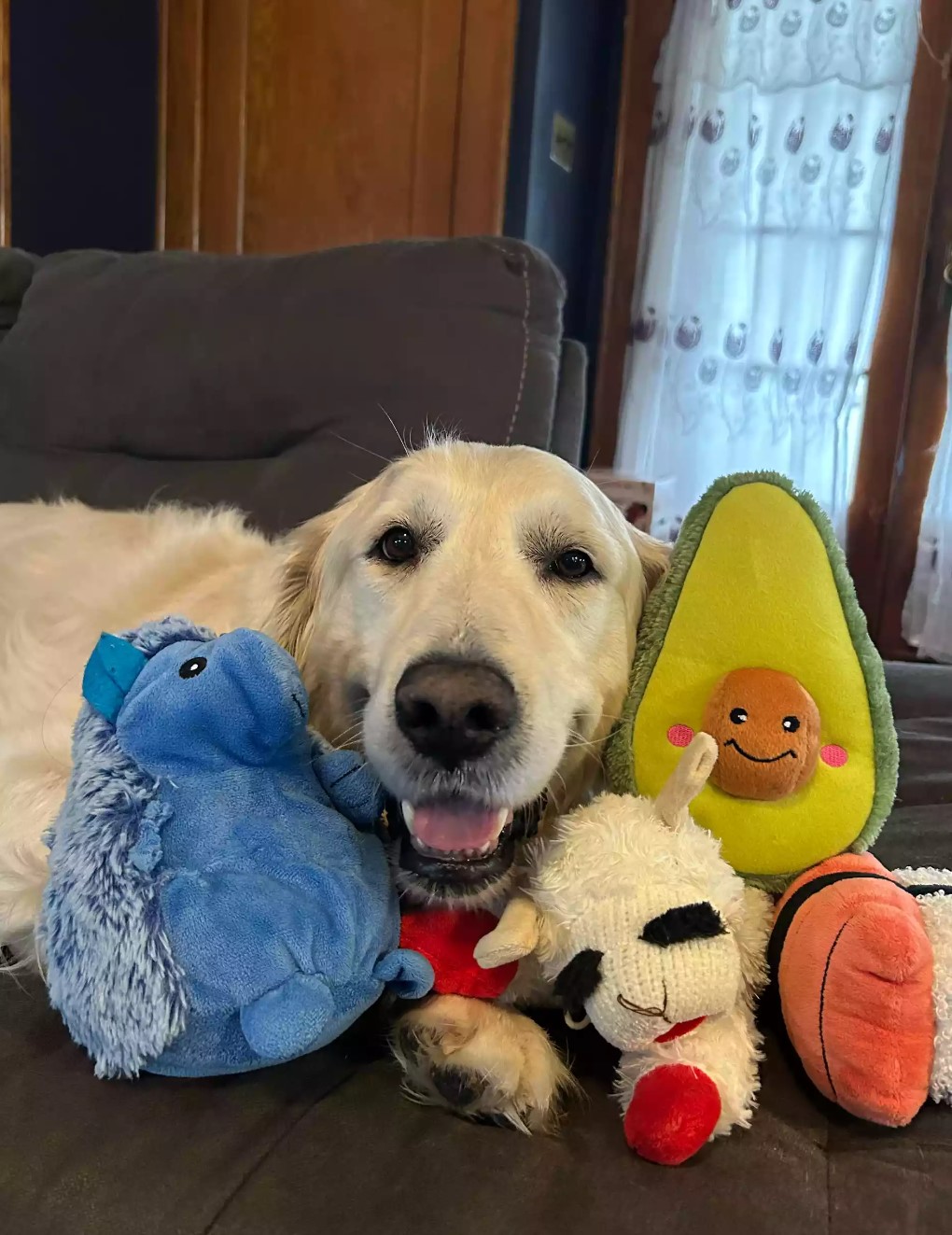 the dog lies next to the stuffed toys