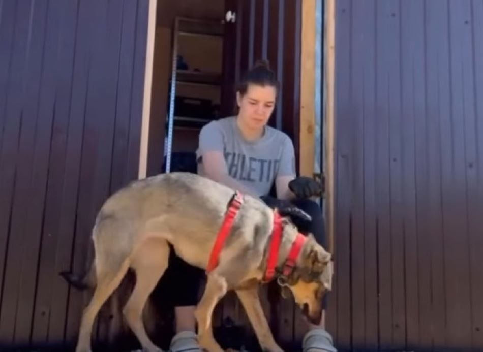 woman and sweet dog