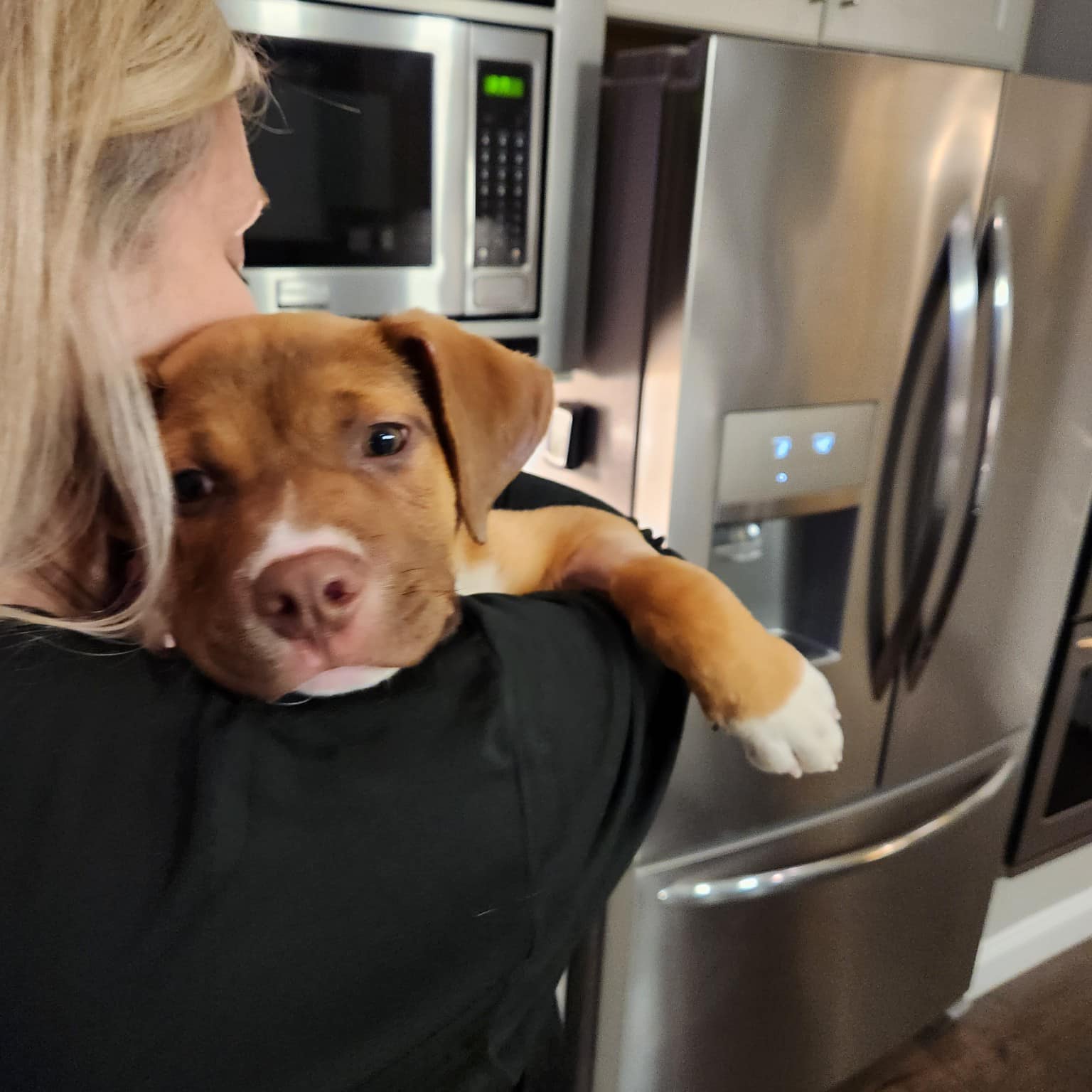 woman carrying a pup