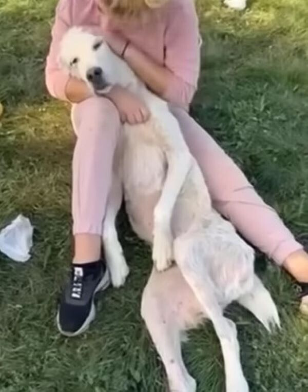 woman petting white dog