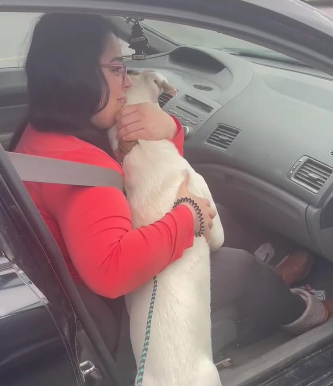 woman sitting in a car holding a dog