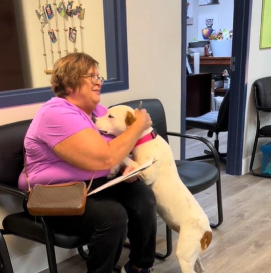 woman sitting on a chair and petting a white dog