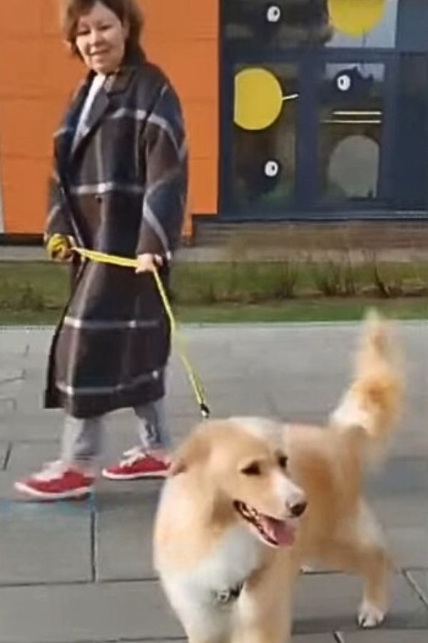 woman walking a dog on a leash