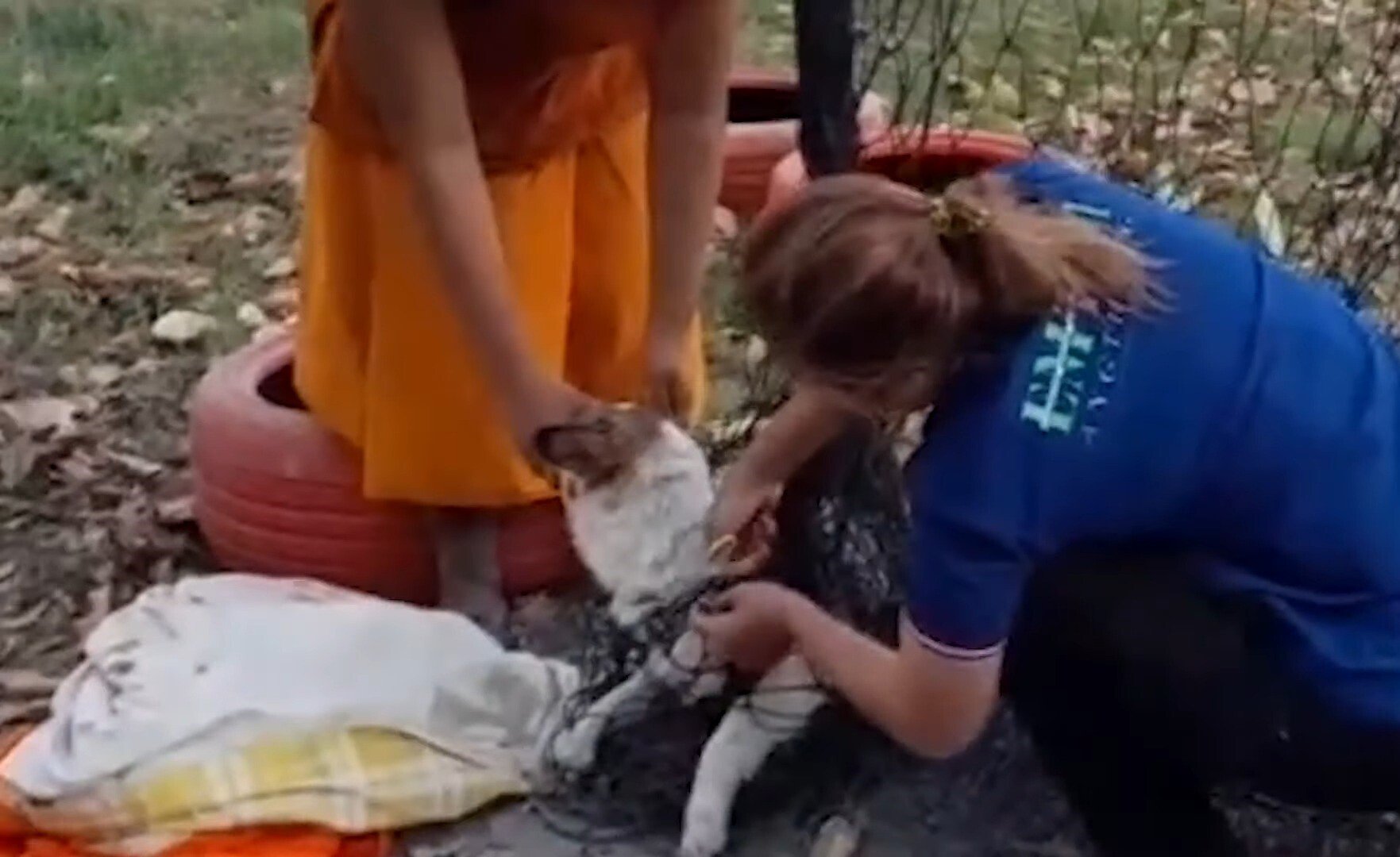 women helping dog