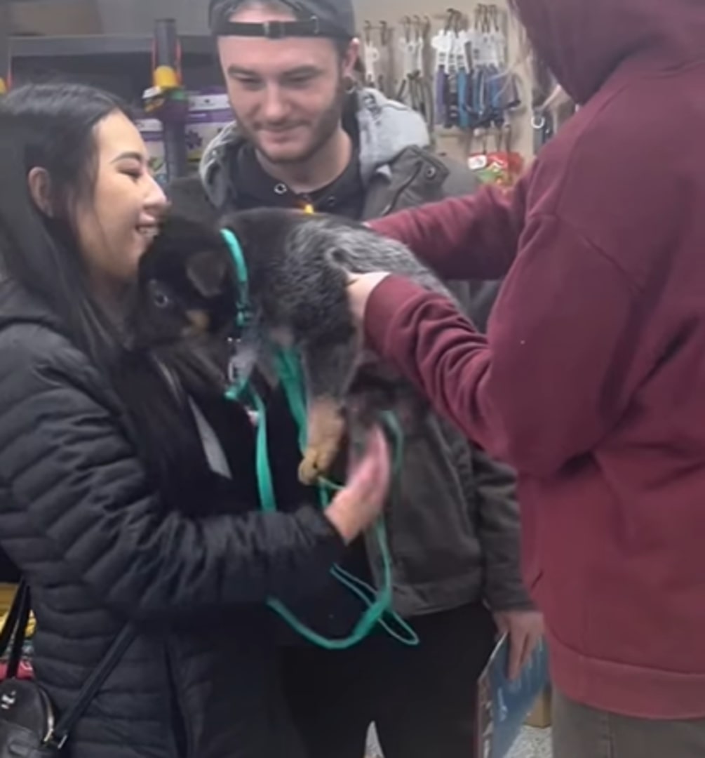 A man puts a dog in a woman's arms